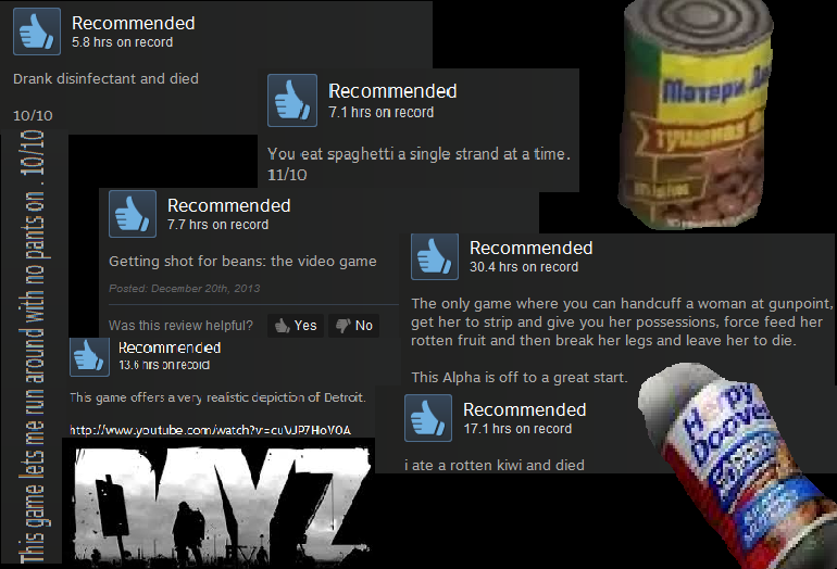 dayzreviews.png